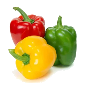 bulk bell peppers