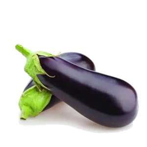 Iranian eggplant