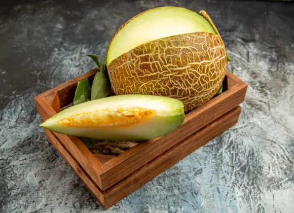 Persian Melon