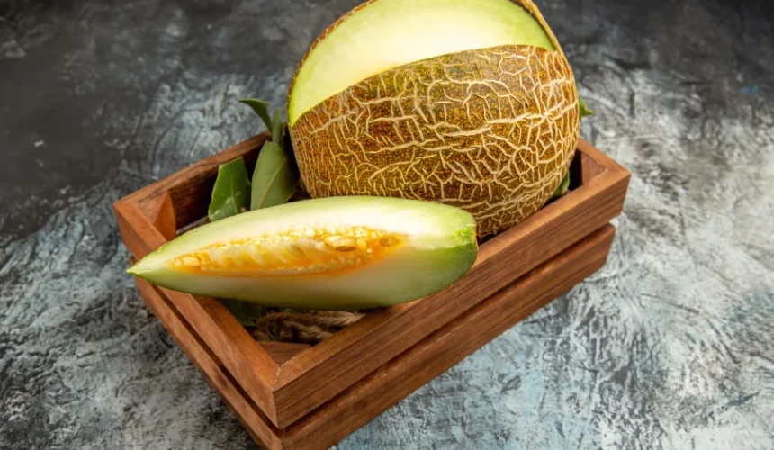 Persian Melon