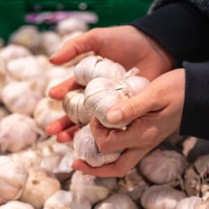 Garlic wholesale