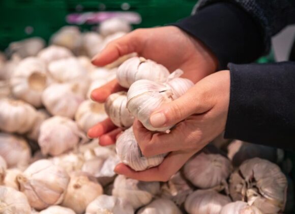 Garlic wholesale