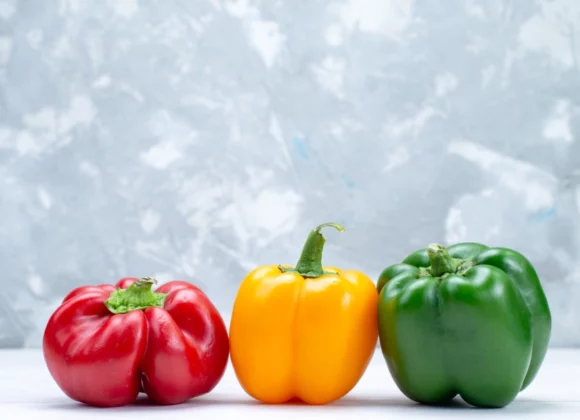 wholesale bell peppers