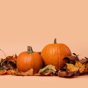 cheap pumpkins in bulk