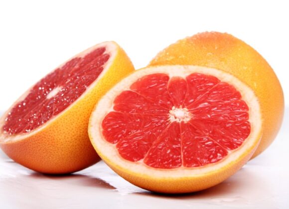 grapefruit wholesale price