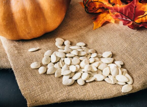 bulk pumpkin seeds