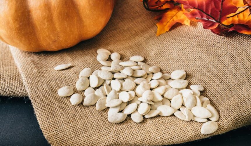 bulk pumpkin seeds