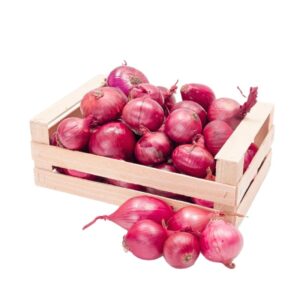 wholesale price onion