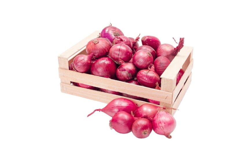 wholesale price onion