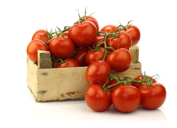 buy tomatoes in bulk