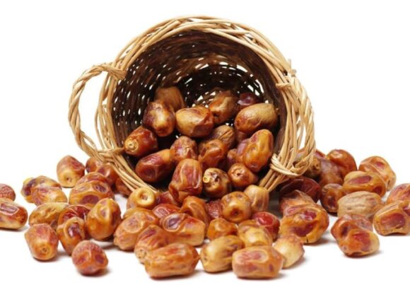 gulf zahidi dates