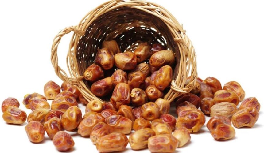 gulf zahidi dates