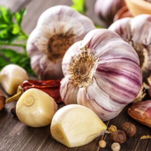 garlic price wholesale