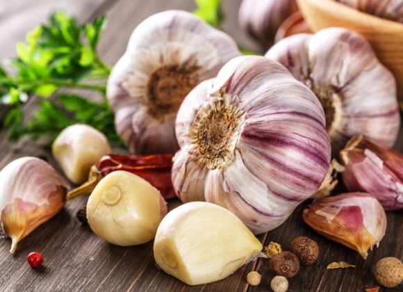 garlic price wholesale