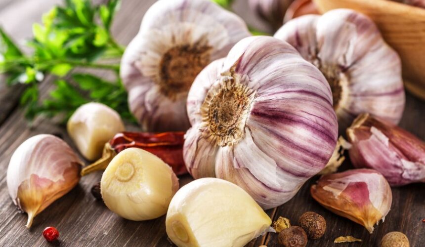 garlic price wholesale