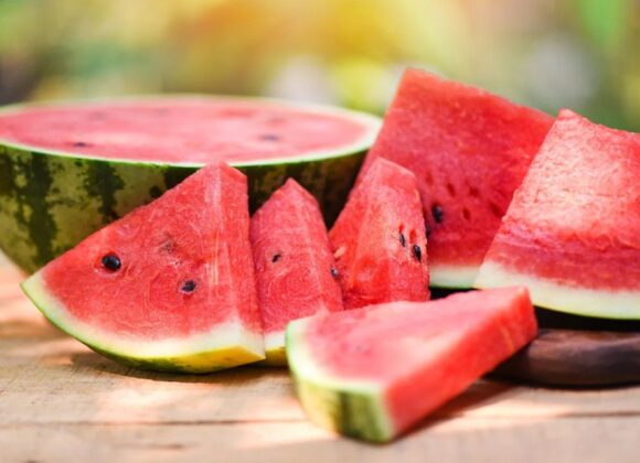 watermelon wholesale price