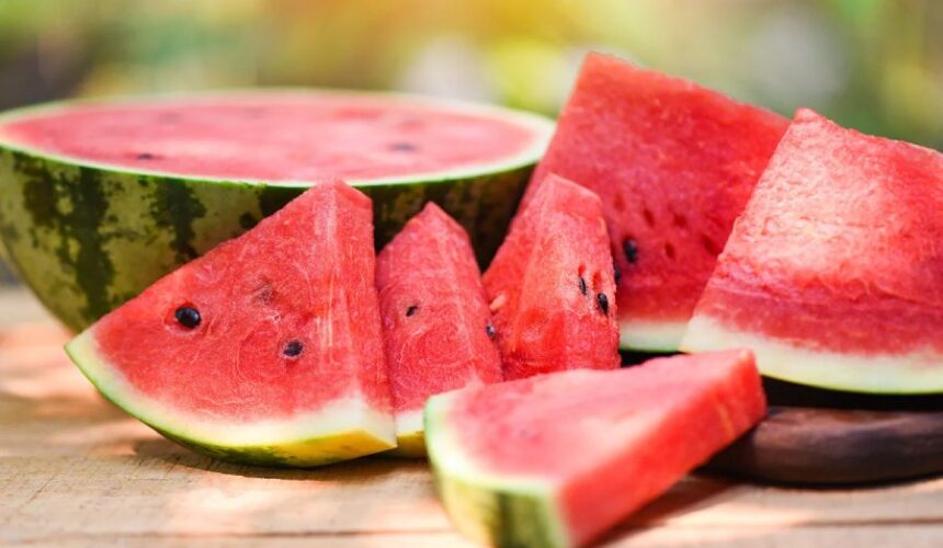 watermelon wholesale price